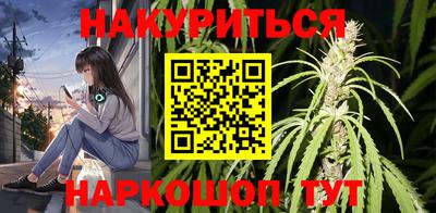 молекула духа Будённовск