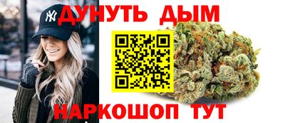 молекула духа Будённовск