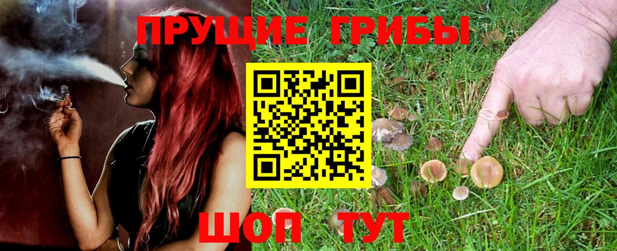 Орехово-Зуево  что такое наркотик  Вход с VPN  Галлюциногенные грибы GOLDEN TEACHER 